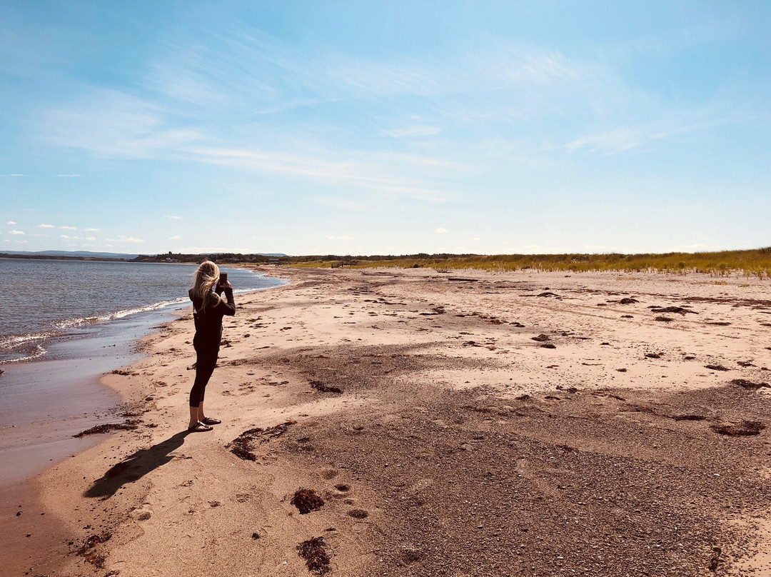 Melmerby Beach Provincial Park-Little Harbour必去景点