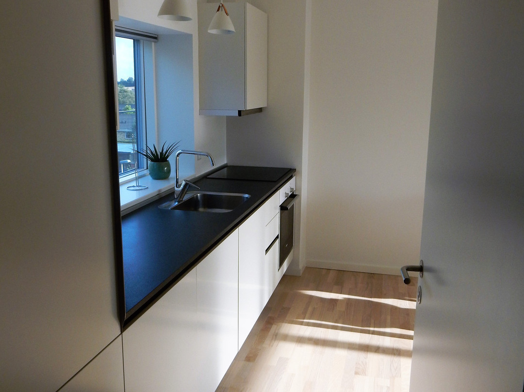 Aalborg Hotel Apartments主图