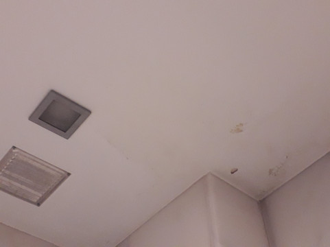 阿拉梅达中心酒店主图