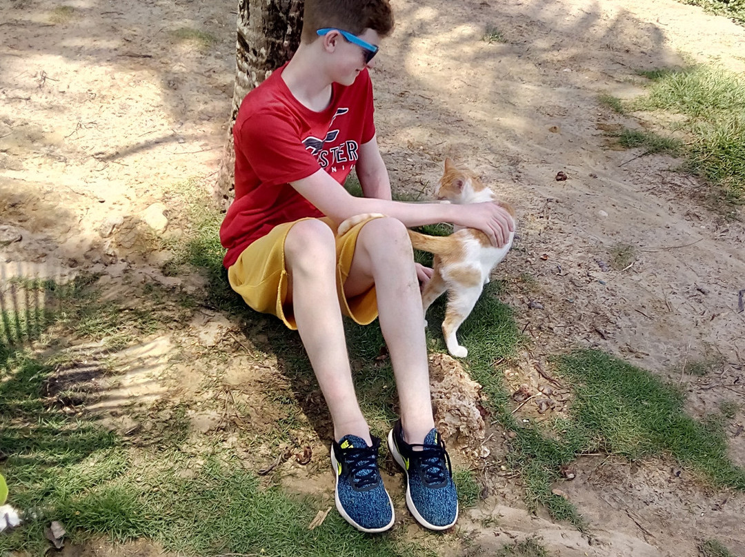 Island Safari Barbados-Saint Michael Parish必去景点