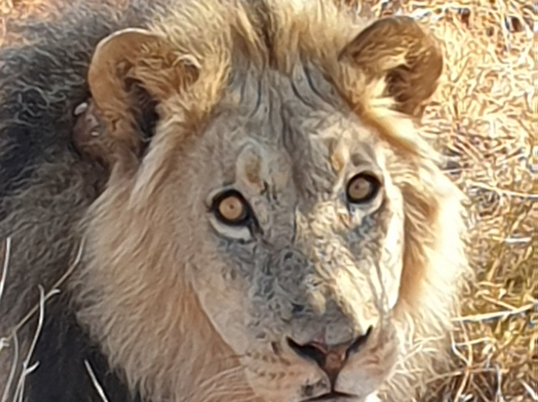 Namvic Tours & Safaris-温德和克必去景点