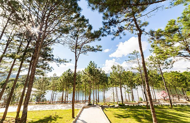 Cereja Hotel & Resort Da Lat主图