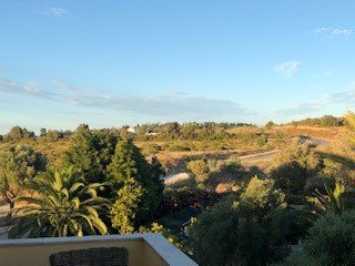 Jardim da Meia Praia-酒店景观