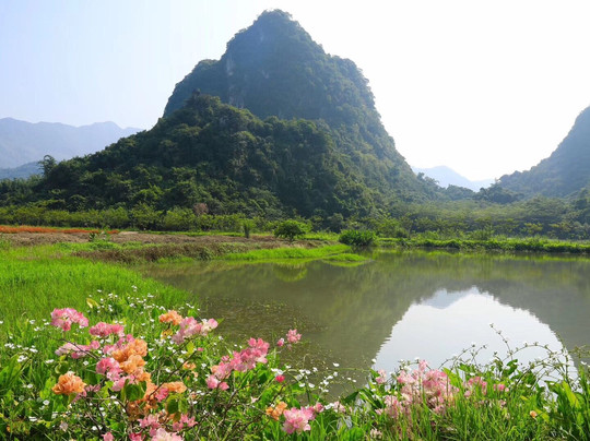 盈香生态园-佛山市必去景点