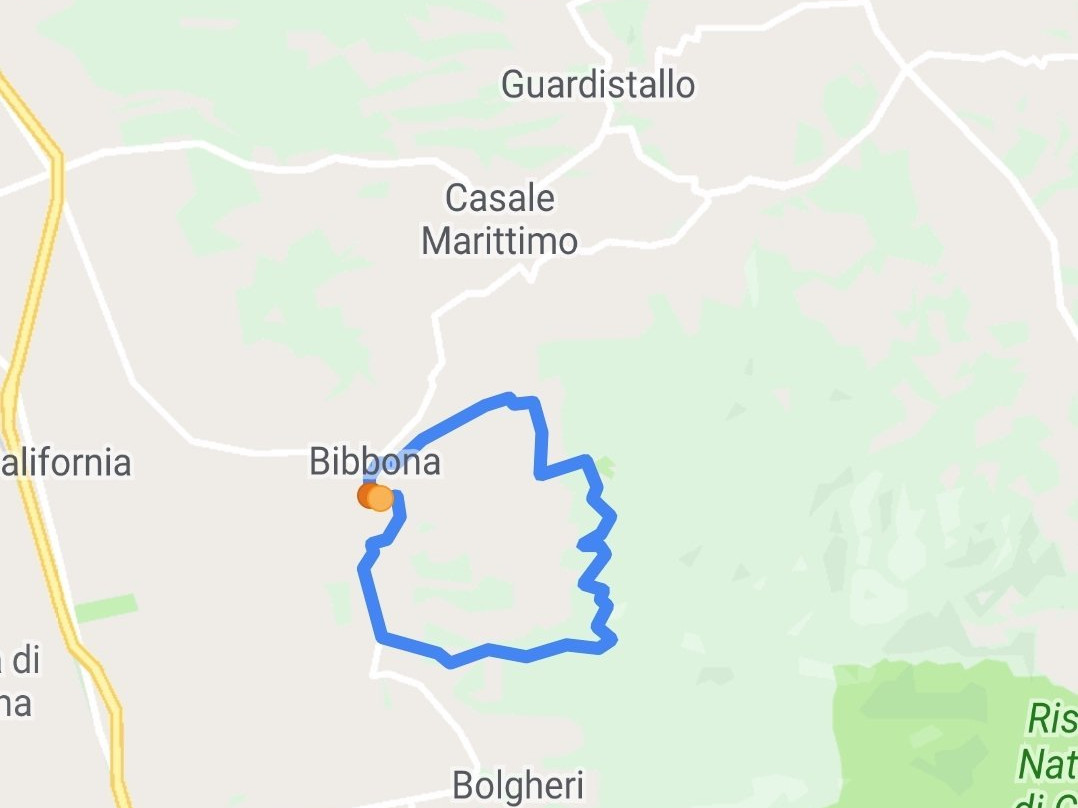 Macchia Della Magona景点图片