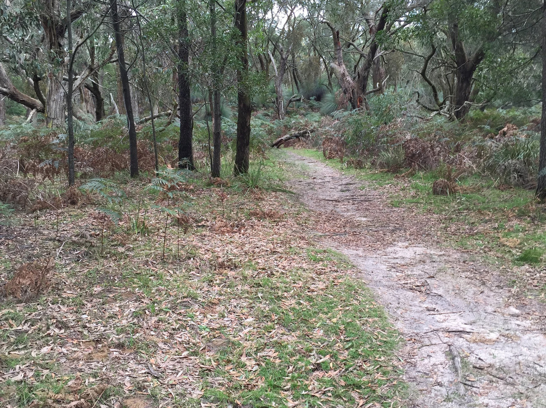 Baldry Crossing Circuit Walk景点图片
