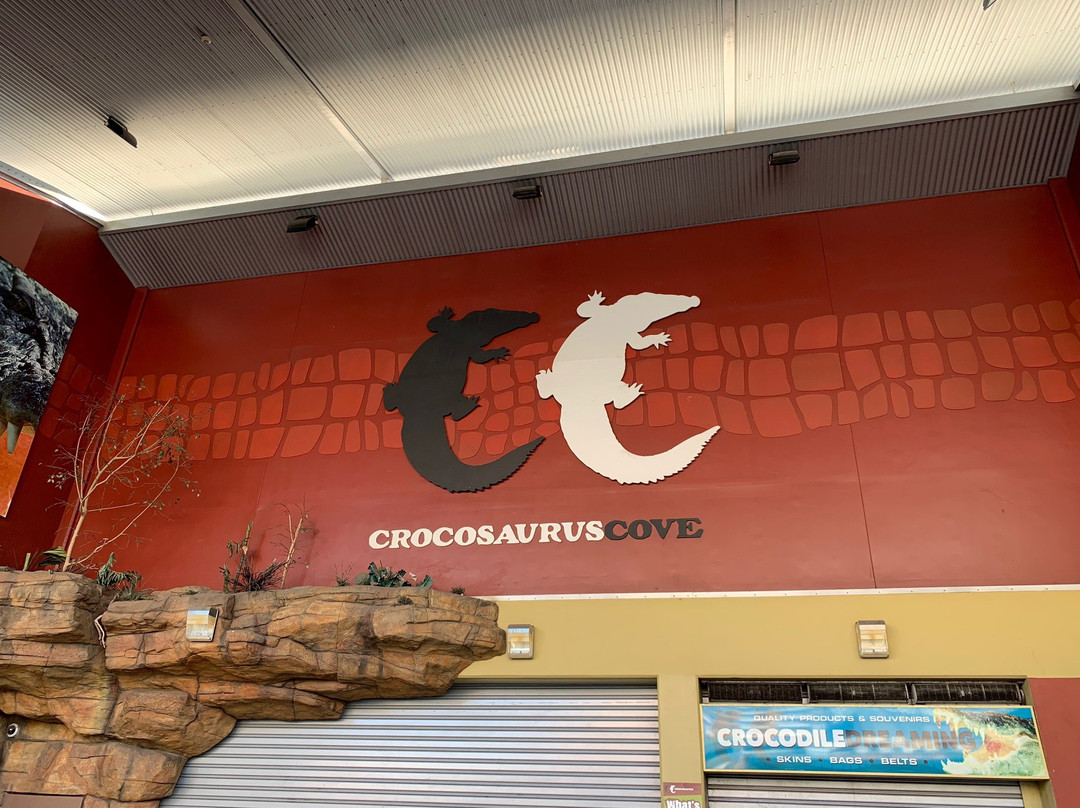 Crocosaurus Cove景点图片