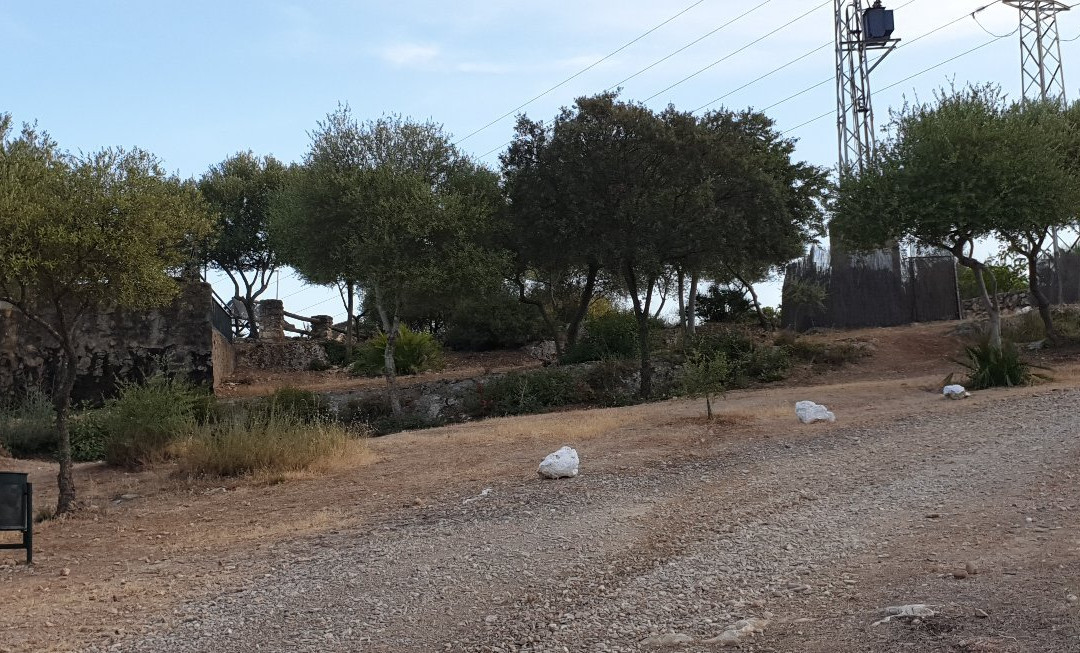Parque Periurbano Los Cabezos景点图片