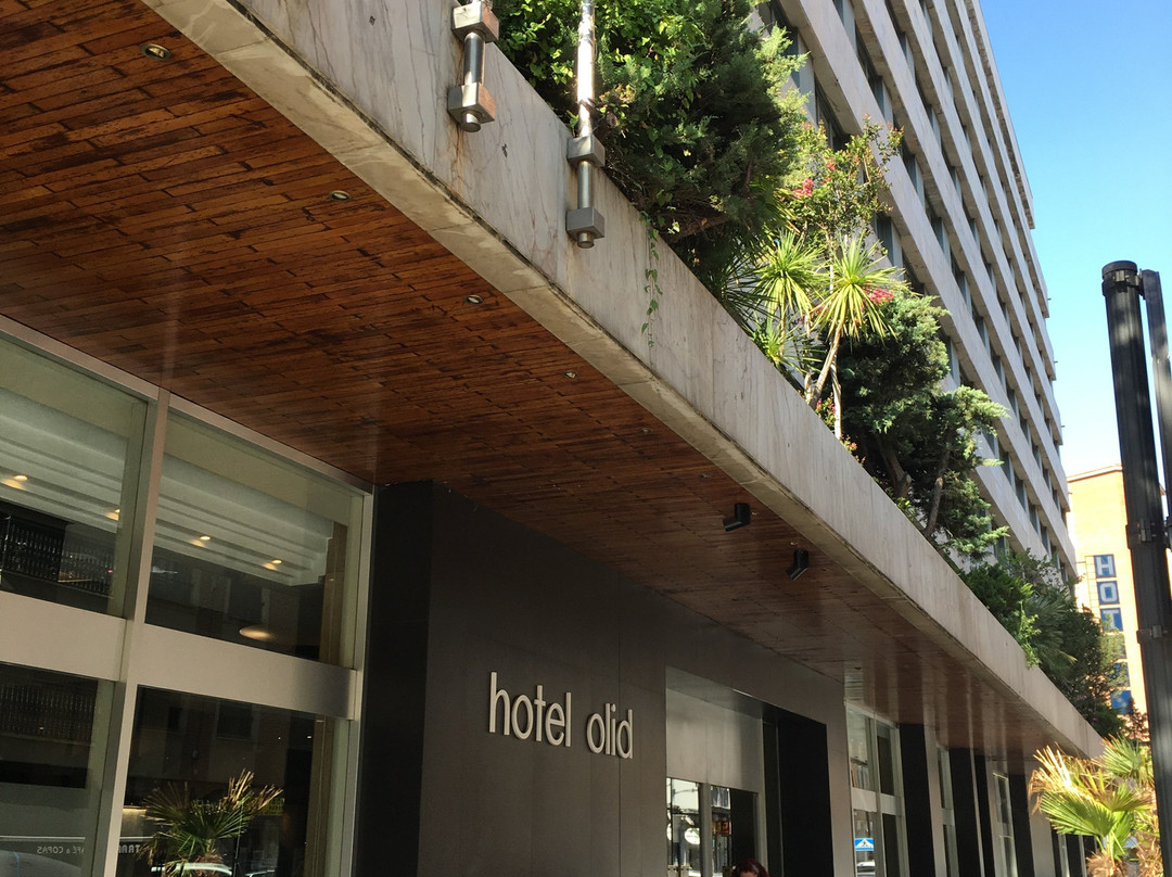 梅丽亚奥利德酒店主图