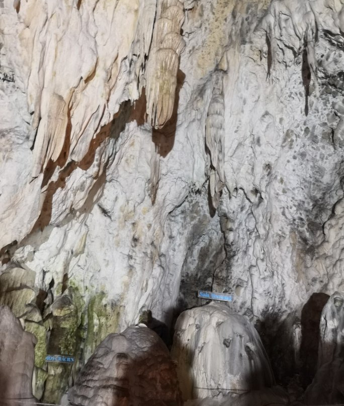The Women's Cave ( Pestera Muierii )景点图片
