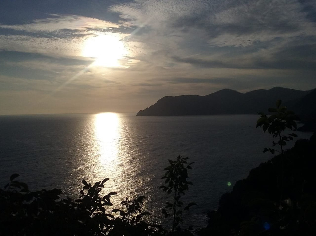 桑德拉别墅客房酒店主图