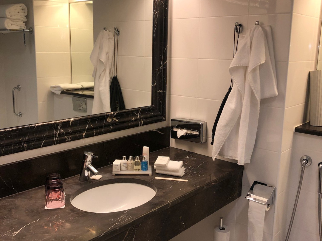 Radisson Blu Marina Palace Hotel, Turku主图