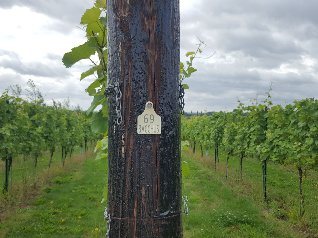 Poulton Hill Estate主图