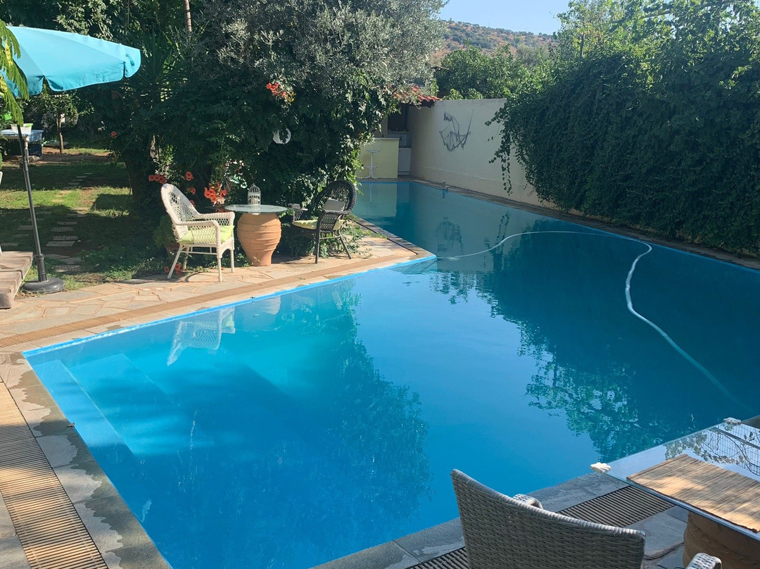 St. Thomas Bed and Breakfast主图