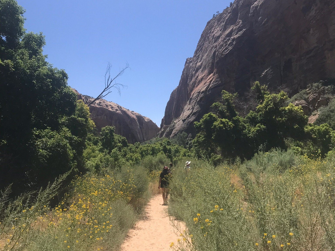 Upper Calf Creek Falls-Boulder必去景点