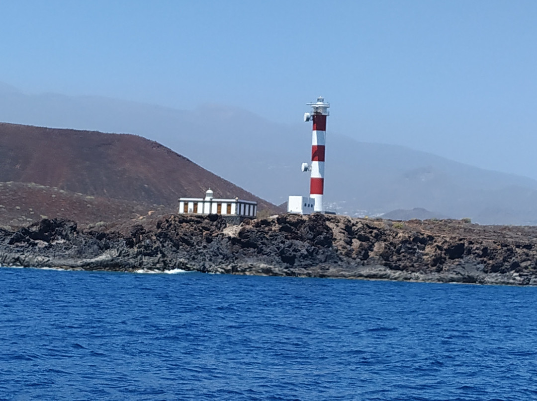 Tonina Cruises-拉斯加勒塔斯必去景点