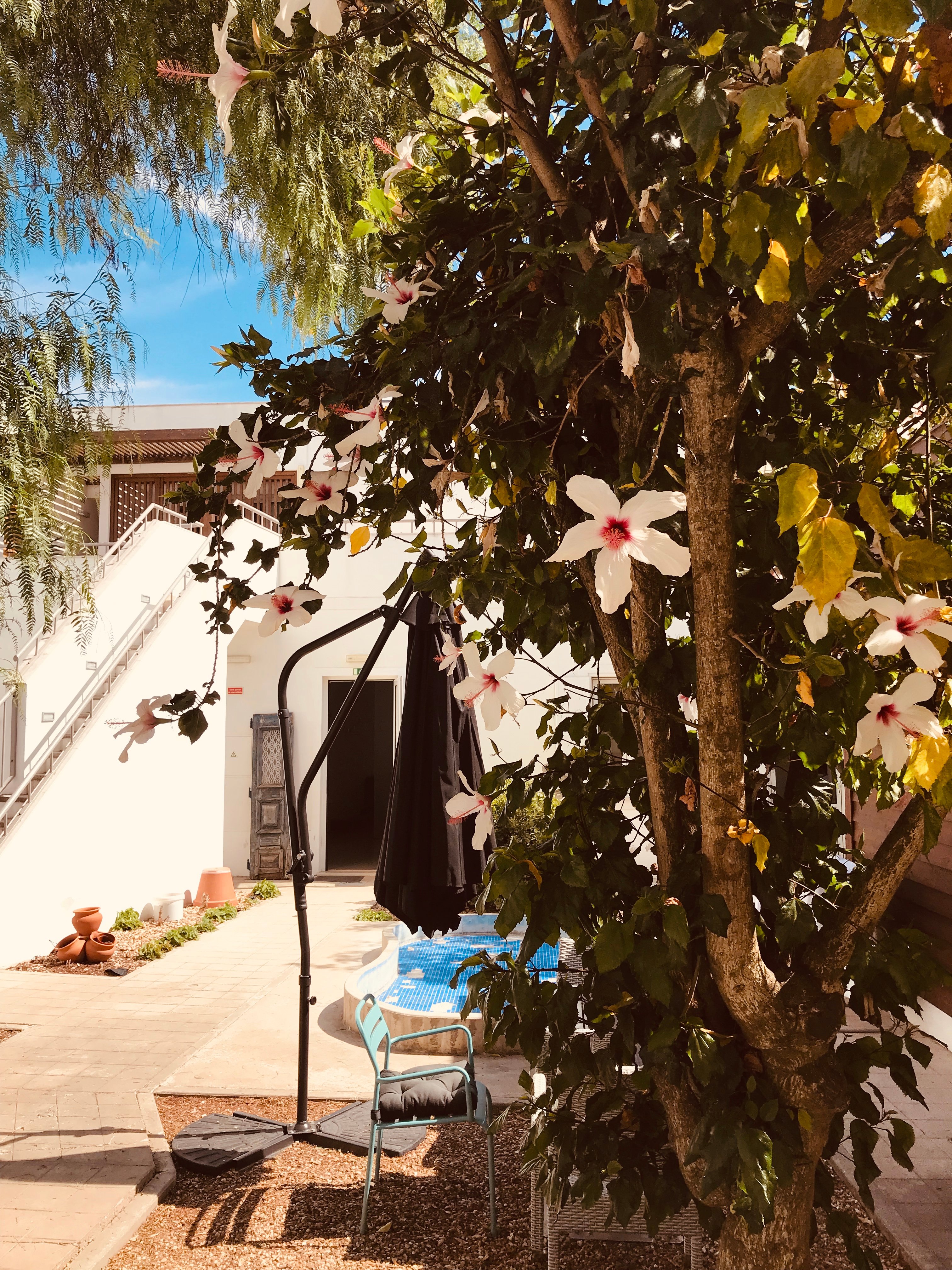 Retrato Da Memoria-Casa De Campo-官方