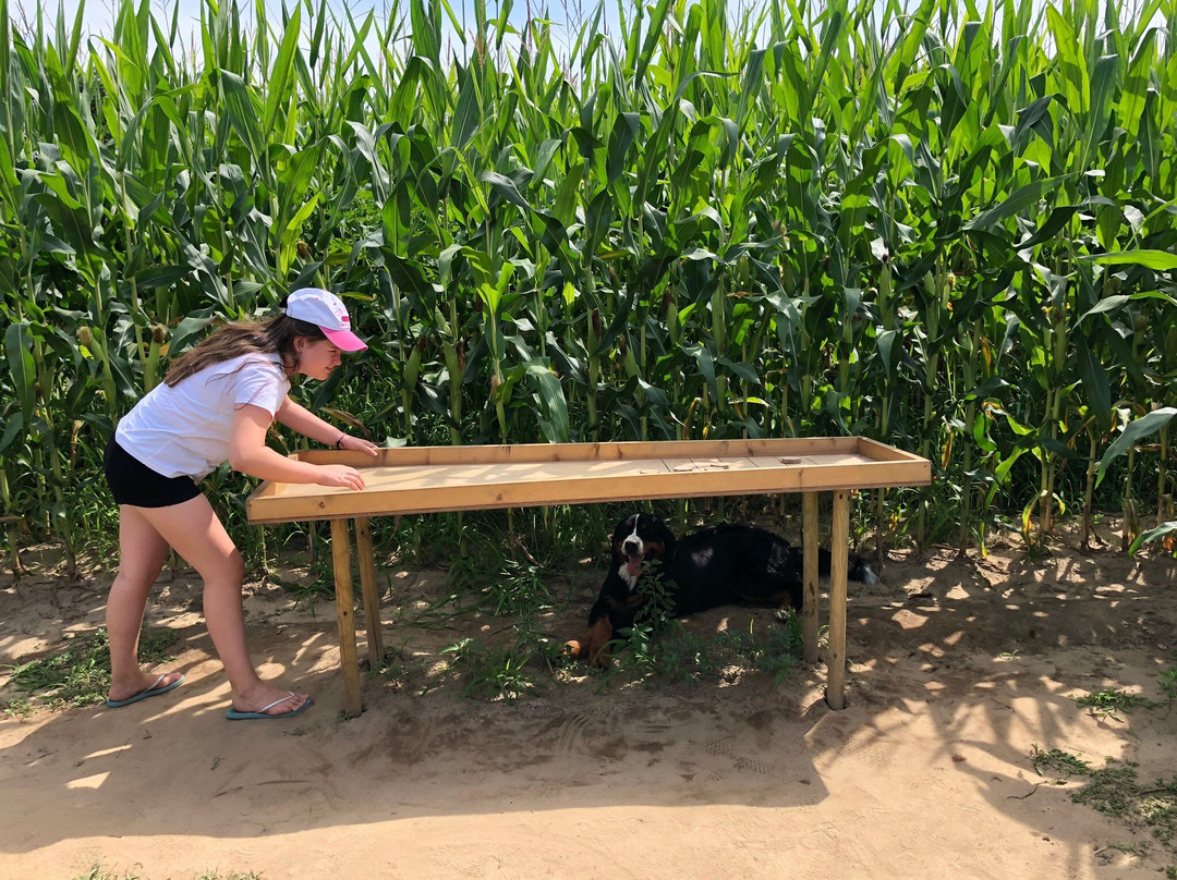 Popcorn Labyrinthe-Saubion必去景点