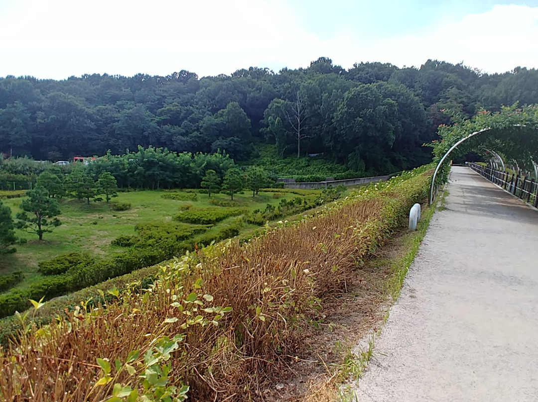 Pungam Reservoir-光州必去景点