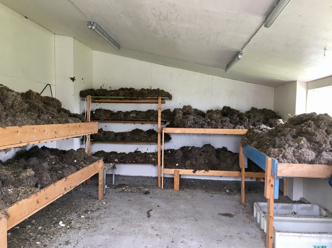 Bstours-伊萨菲厄泽必去景点