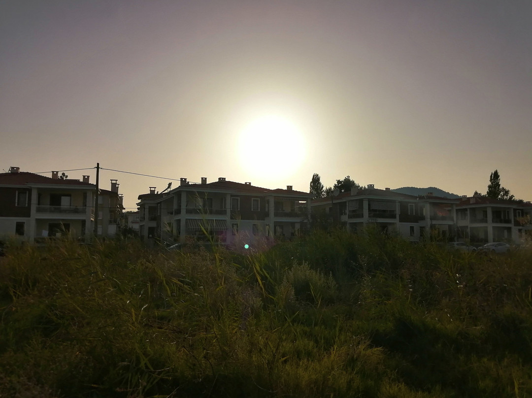 Zeytin Hotel主图