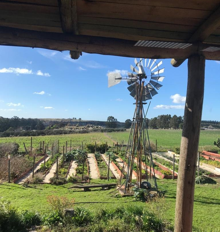 Granja La Piedra-马德普拉塔必去景点