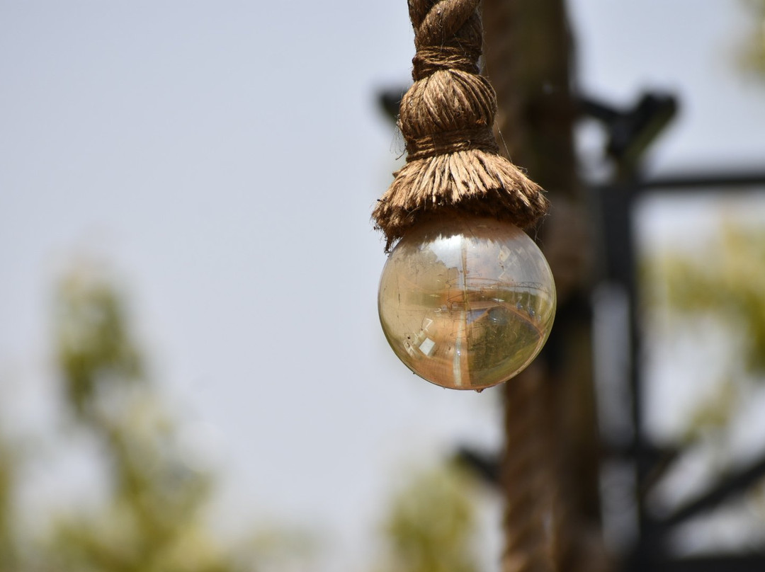 5 Flowers Ananta Elite主图