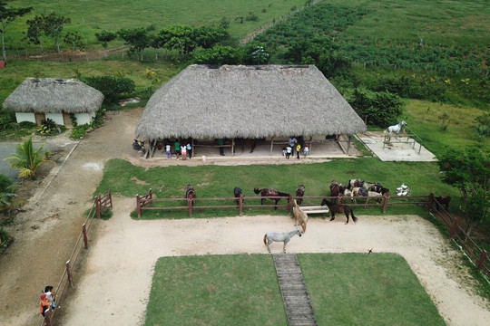 Rancho Palmeras-Cap Cana必去景点