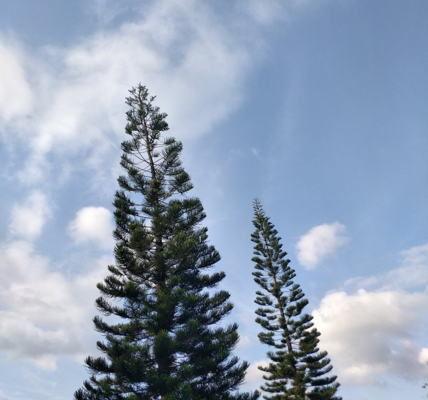 OYO 386 White Villa Tourist Guest主图