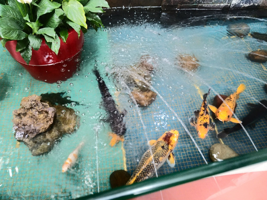 巴黎FC酒店主图