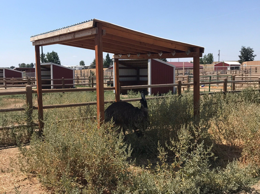 Babby Farms-Caldwell必去景点