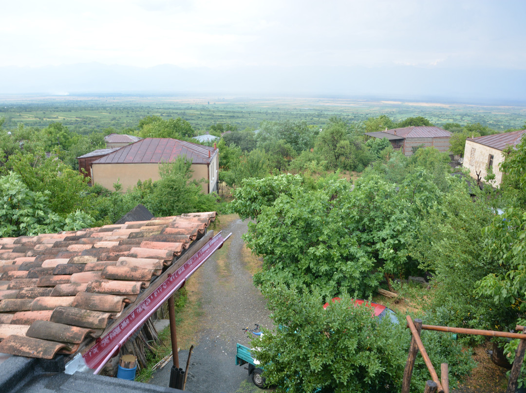 Nika Winery-Kardenakhi必去景点