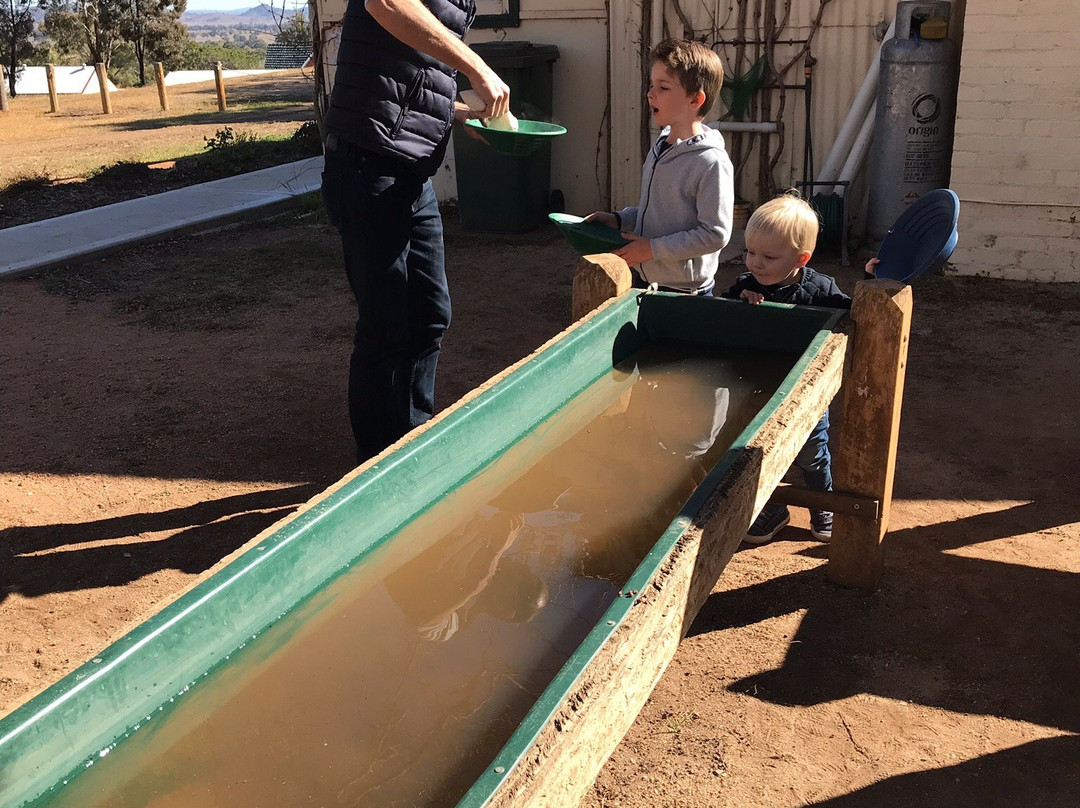 Gulgong Gold Experience-Gulgong必去景点