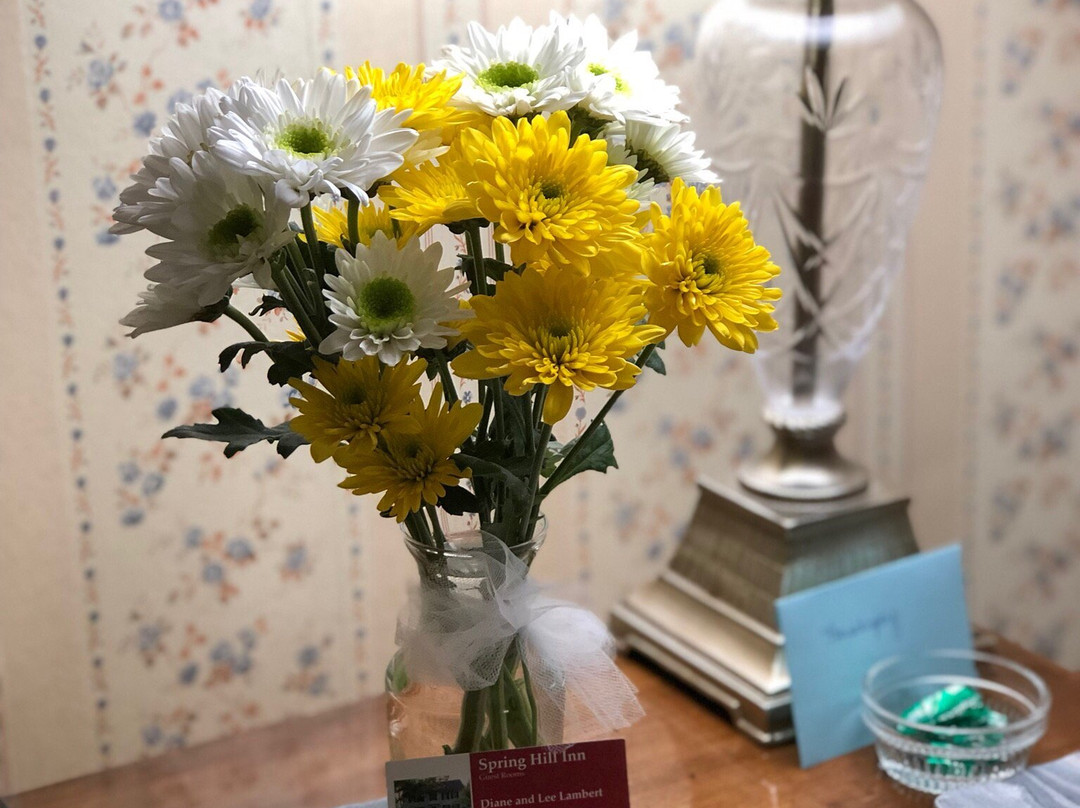 Spring Hill Inn主图