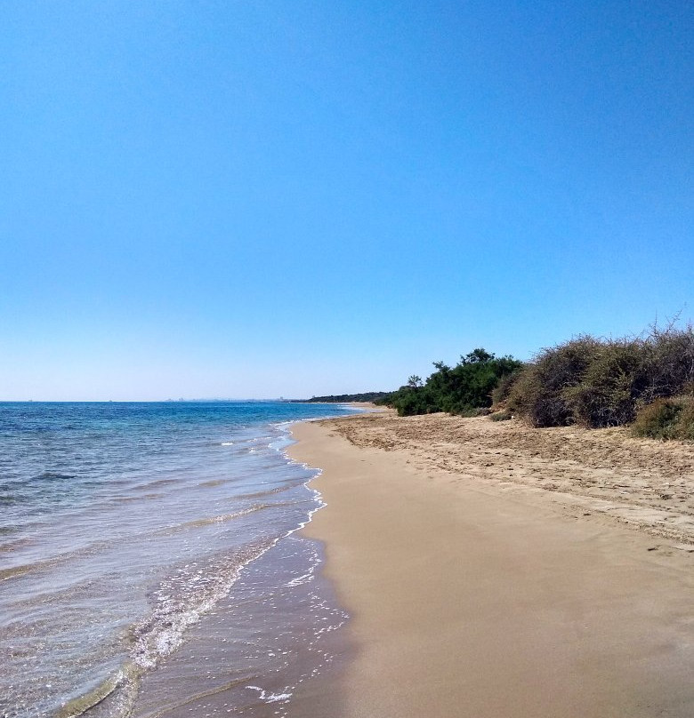 The Pines Guest Rooms主图