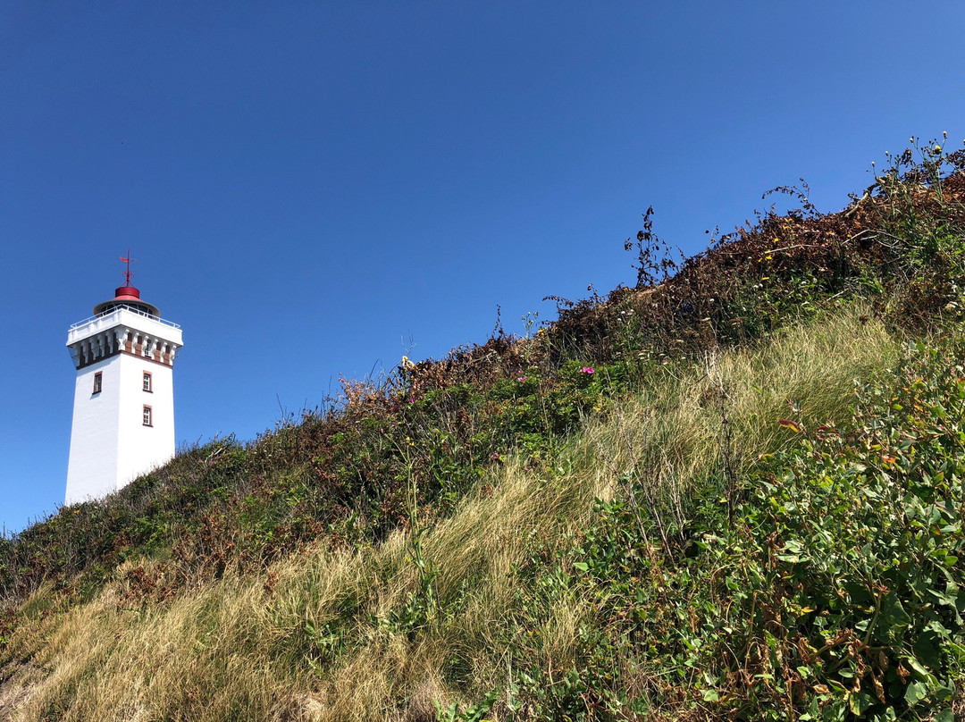 Helnæs Lighthouse景点图片