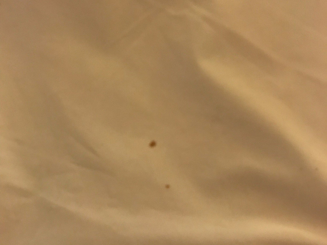 Hotel La Tchadienne主图