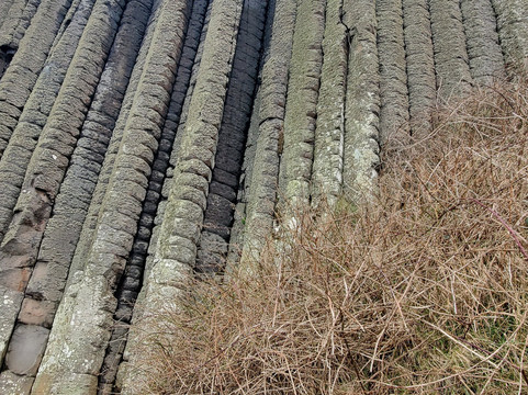 Giants Causeway Tours-贝尔法斯特必去景点