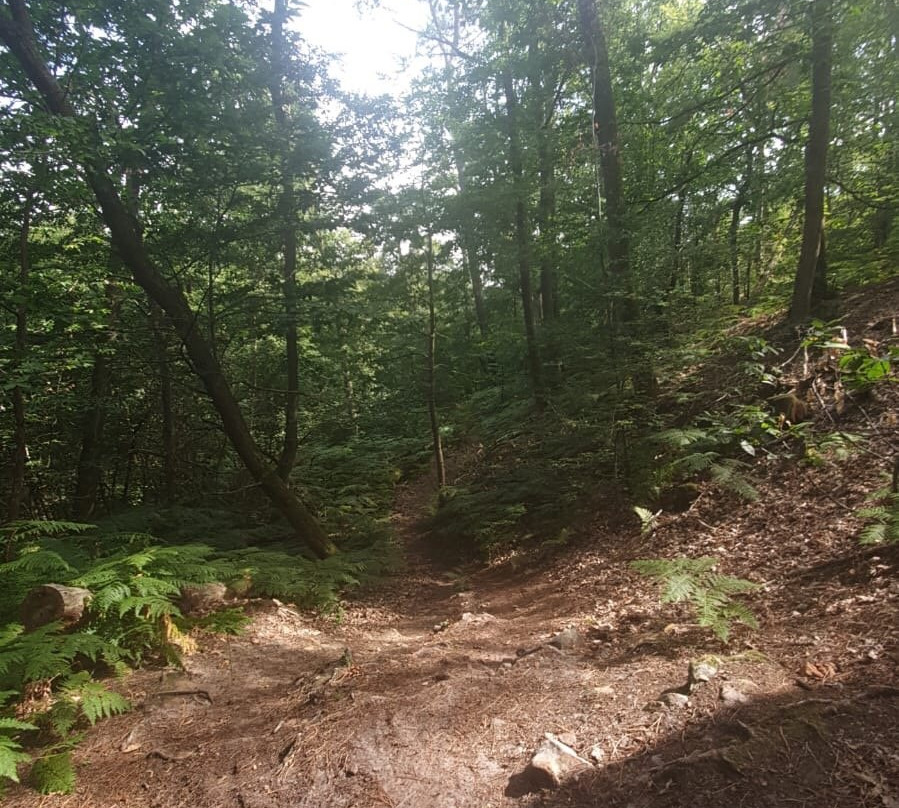 Chouane Lake-Chouaneh必去景点