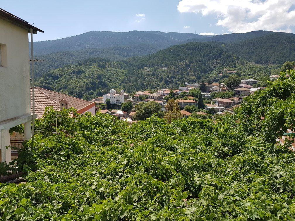 Christy's Palace Hotel主图