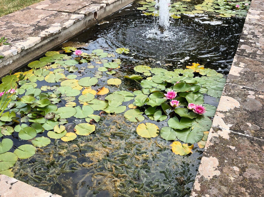 Compton Castle-Compton必去景点