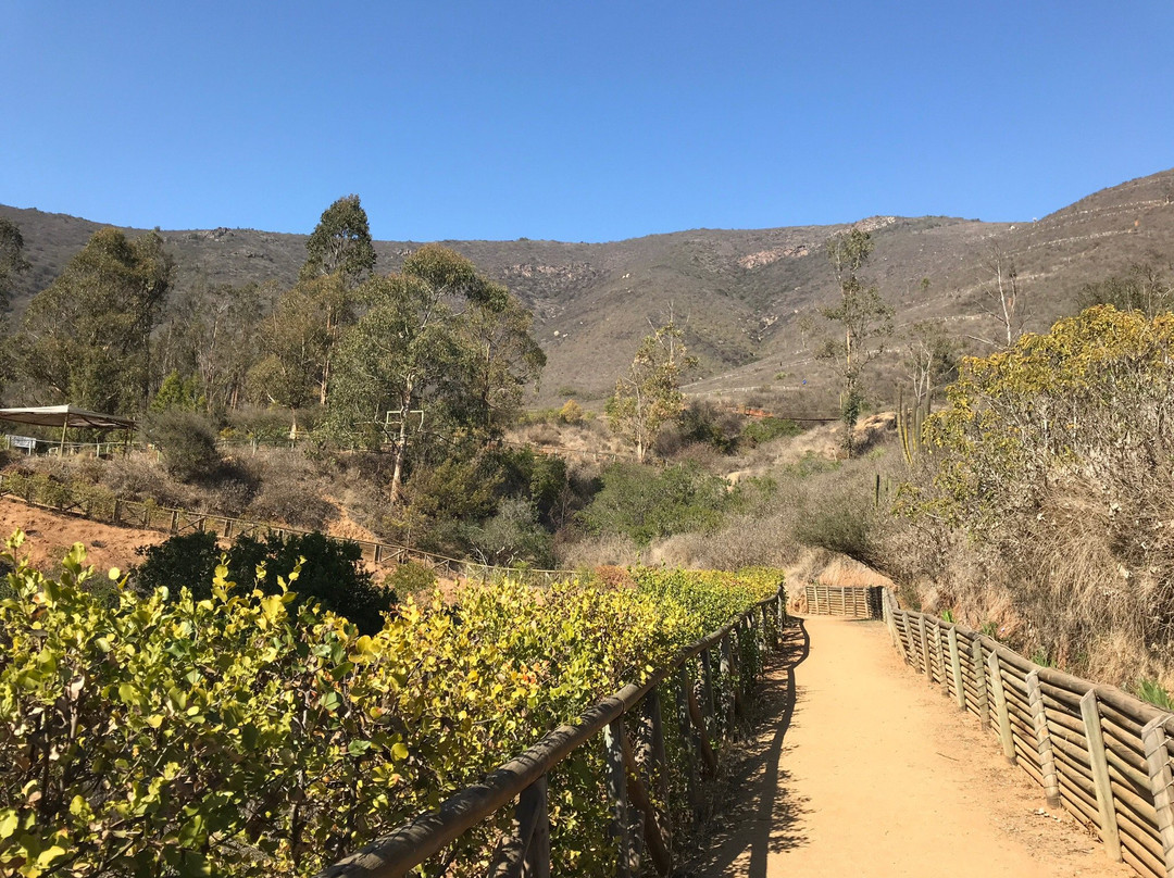 Parque Urbano Natural La Ligua-La Ligua必去景点