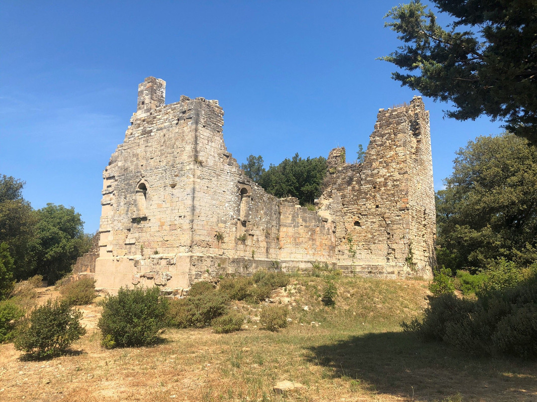 Relais Borgo Il Massera主图