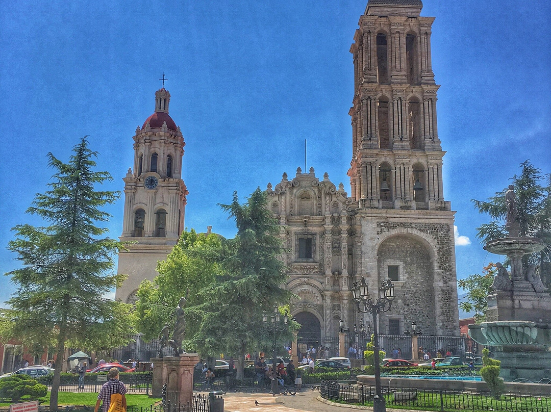 Catedral de Saltillo-萨尔蒂必去景点