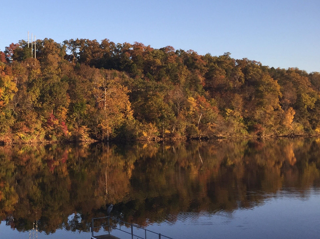 The Cottages At Lake Shore主图
