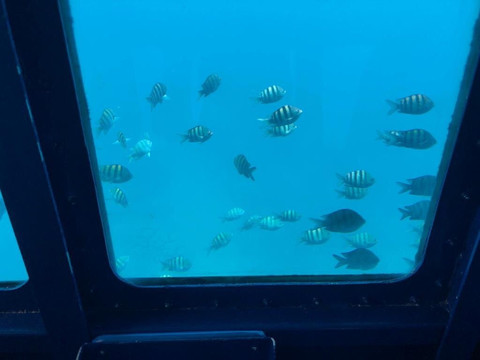 Kenavo Tropical-拉罗马纳必去景点