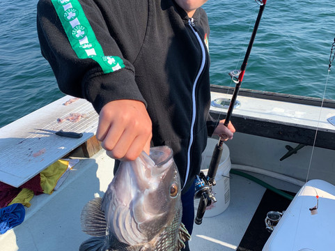 Capt Jim’s Charters-法尔茅斯必去景点