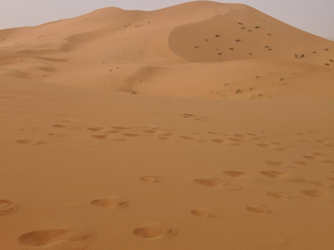 Morocco Desert Travel景点图片