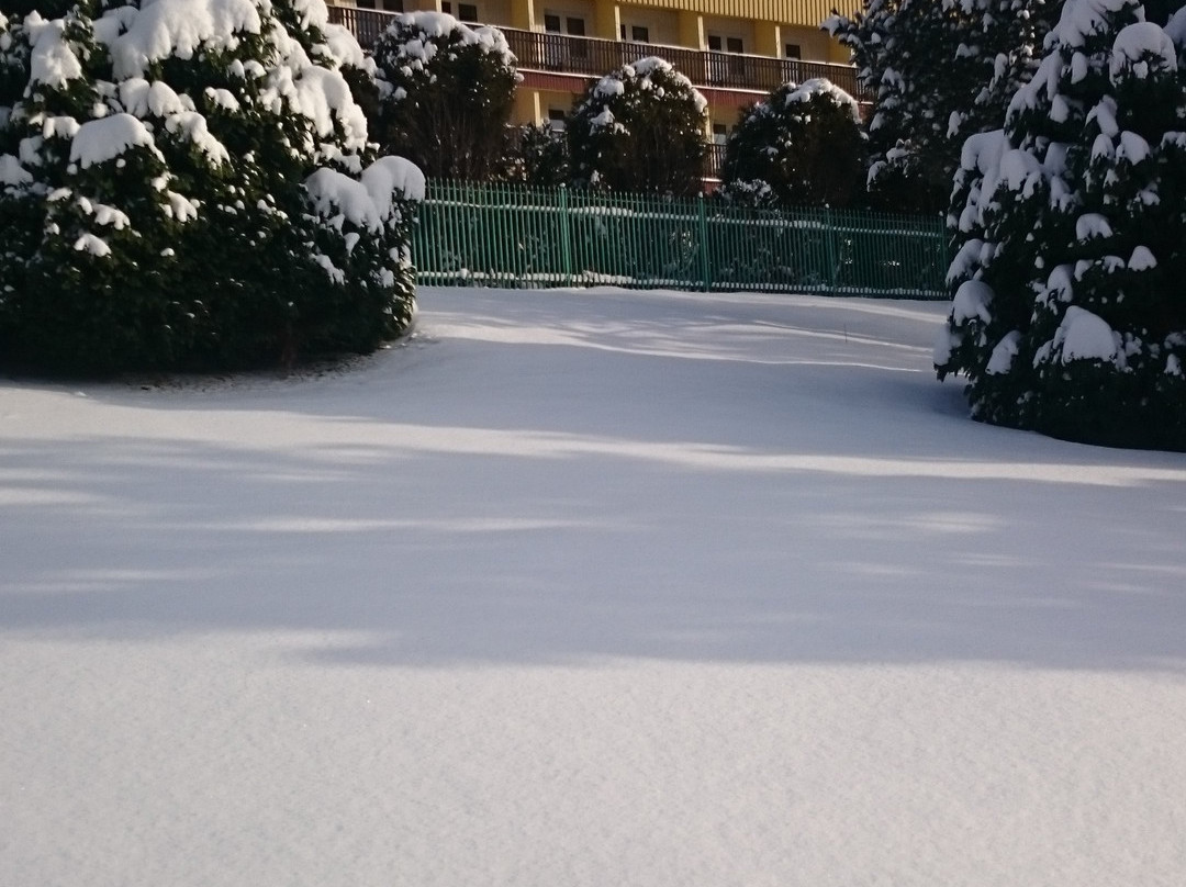 Sanatorium Uzdrowiskowe Limba主图