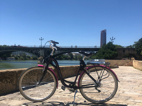 Bunny Bike Sevilla-塞维利亚必去景点